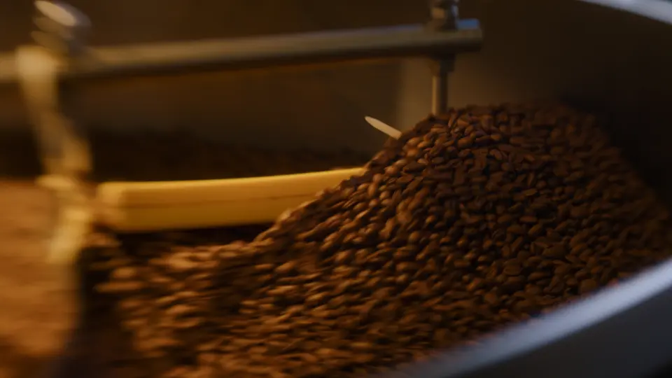Pecaresca Coffee - a Modelo Collaboration — still 32