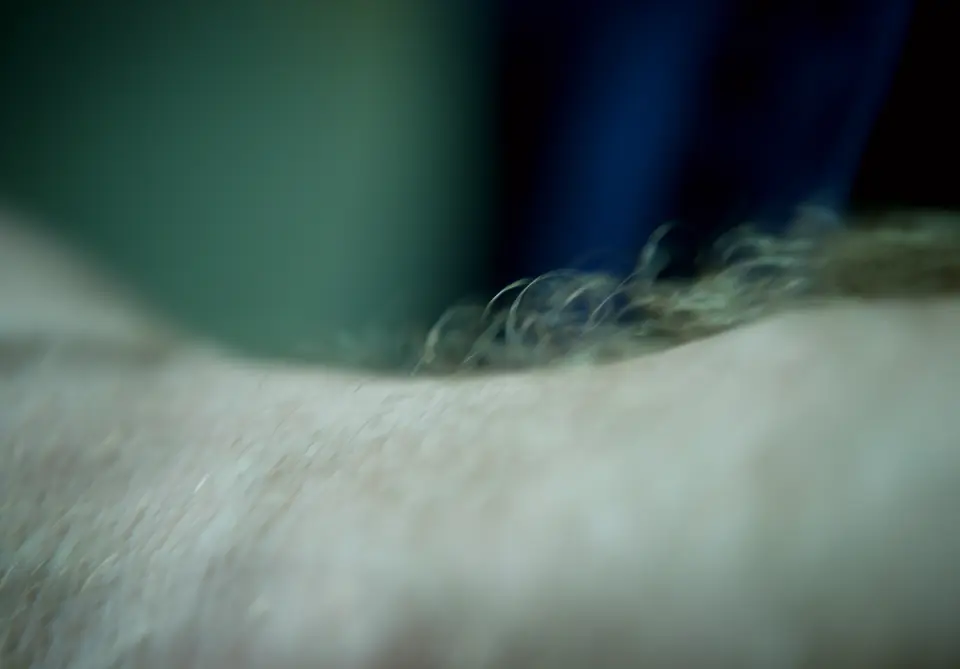 Silent Saute — still 10